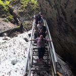IMG-20240908-WA0015