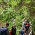 La secțiunea PNRAS te rog să postezi Excursie la Ghețarul Scărișoara